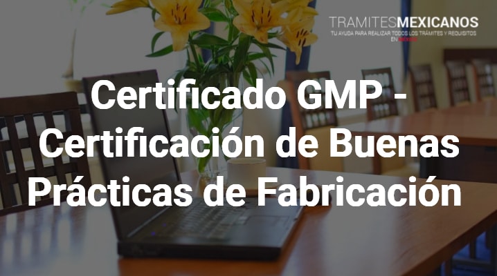 Certificado GMP