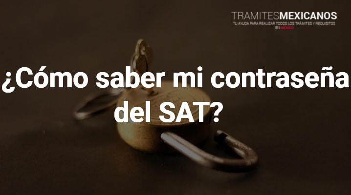 Como Saber Mi Contrasena Del Sat Febrero Del 2021